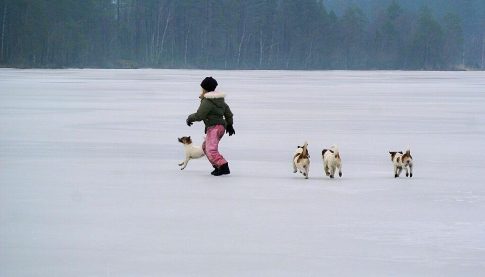 Risikoen er stor tidlig på vinteren for at både menneske og hund kan gå igjennom isen.