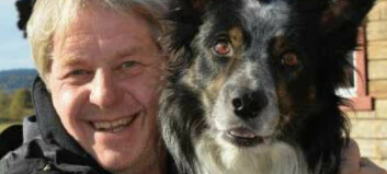 Hundeekspert Geir Marring om avlivning av fire hunder: -Dette er sprøyt og tullsnakk