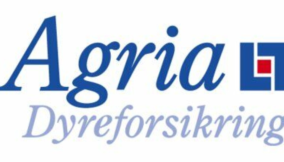 Padder er giftige for hunder