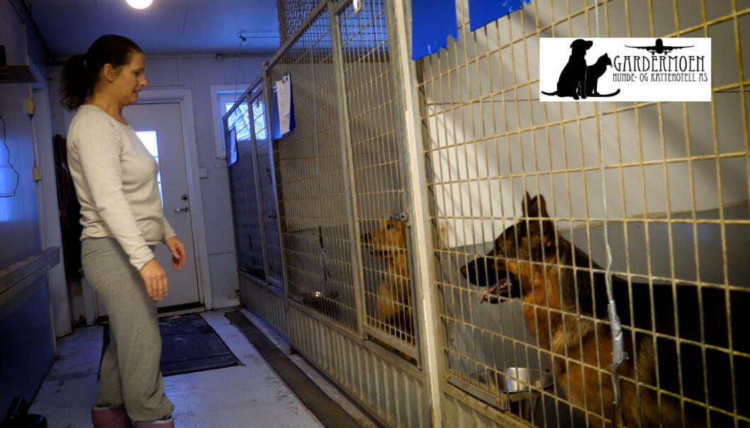 Viu har ledige plasser i jula. Ta kontakt med oss, sier innehaver av Gardermoen hunde og kattehotell, Ann Kilberg, Viu har ledige plasser i jula. Ta kontakt med oss, sier innehaver av Gardermoen hunde og kattehotell, Ann Kilberg,