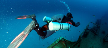 Dykker du? Stort gjennombrudd i forskning på dykkersyke