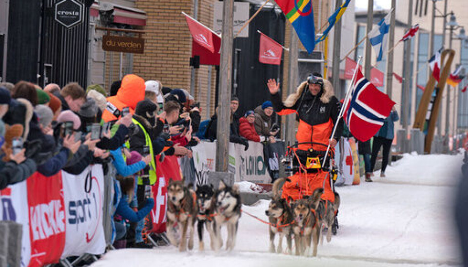 Thomas Wærner suveren i Finnmarksløpets lengste klasse Thomas Wærner suveren i Finnmarksløpets lengste klasse