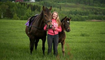 Marthe Braastad(21) fra Kunnet satser på trav og opplevde marerittet das hoppe som fødte hingsteføllet hennes, ville sparke ihjel føllet. Marthe Braastad(21) fra Kunnet satser på trav og opplevde marerittet das hoppe som fødte hingsteføllet hennes, ville sparke ihjel føllet.