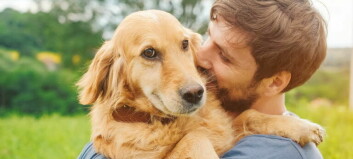 Hundeeiere scoret høyere på fysisk og psykisk helse enn de som ikke har hund i huset. Størst fordel var det for menn