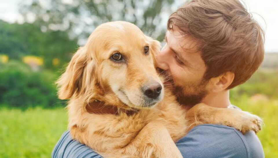 Hundeeiere scoret høyere på fysisk og psykisk helse enn de som ikke har hund i huset. Størst fordel var det for menn