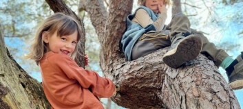 Bekymrings-verdig utvikling: barn leker nesten ikke i naturen