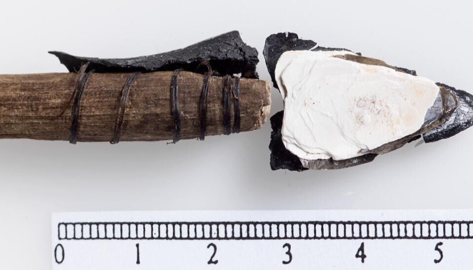 Eksepsjonelt godt bevarte piler fra bronsealderen har smeltet ut av Løpesfonna i Oppdal. Disse har intakt surring og spisser lagd av skjell Eksepsjonelt godt bevarte piler fra bronsealderen har smeltet ut av Løpesfonna i Oppdal. Disse har intakt surring og spisser lagd av skjell