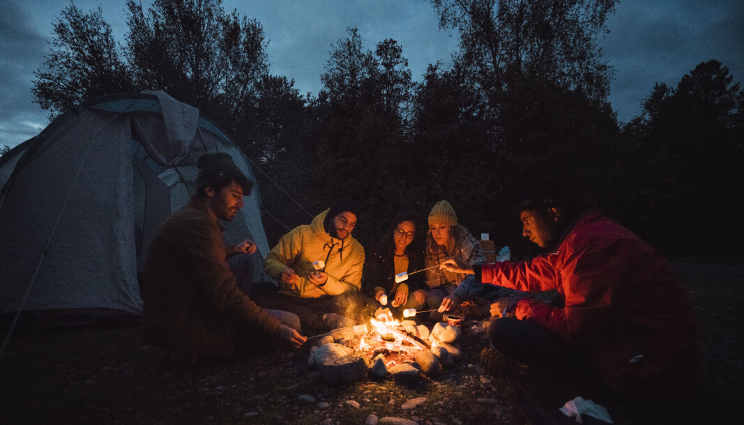 I september skal Nordisk Natt i Naturen markeres for første gang. I september skal Nordisk Natt i Naturen markeres for første gang.