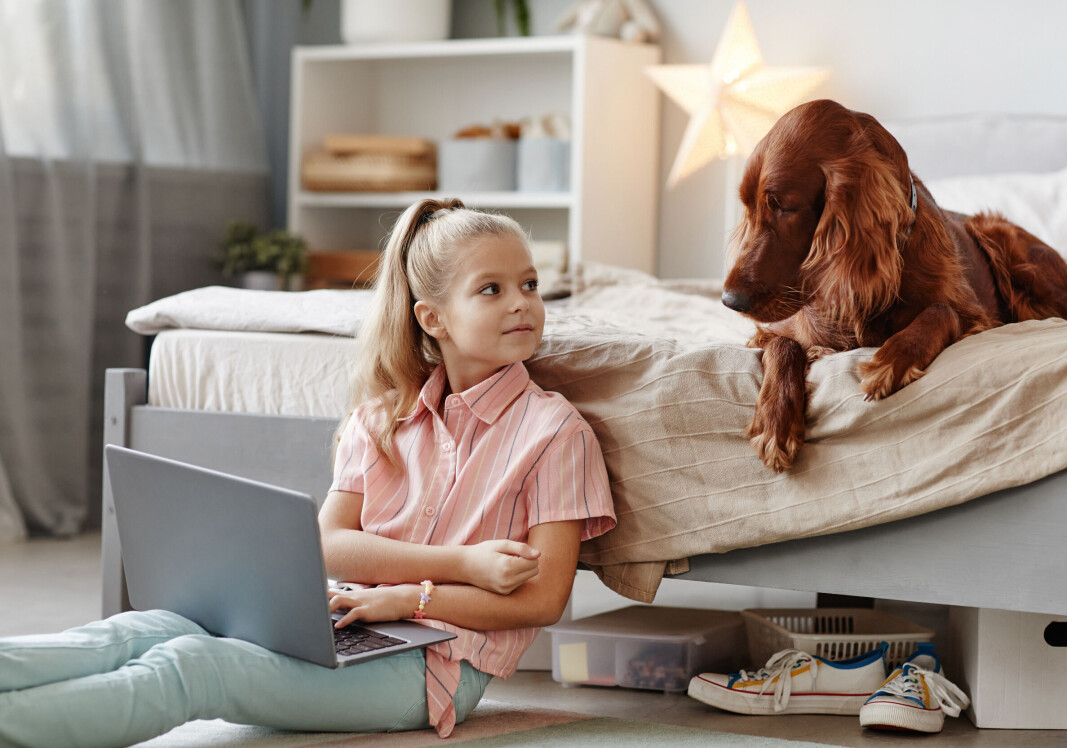 La barn og hund bli godt kjent med mye kjærlighet,. La barn og hund bli godt kjent med mye kjærlighet,.