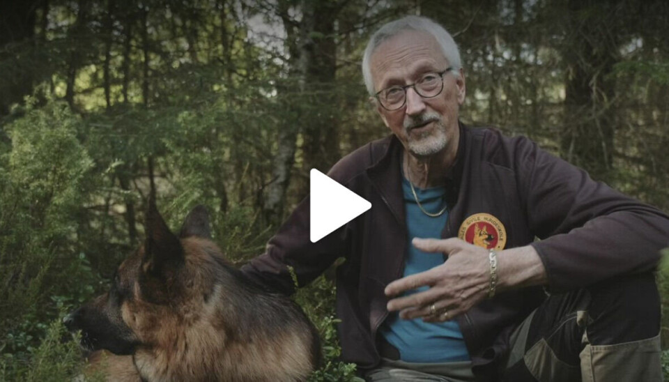 Helge Rønneberg Mjelva bruker hunden sin Max for å trene andre hunder.