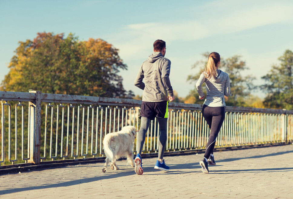 Å løpe med hunden er vinn vinn for både to og firbeinte.