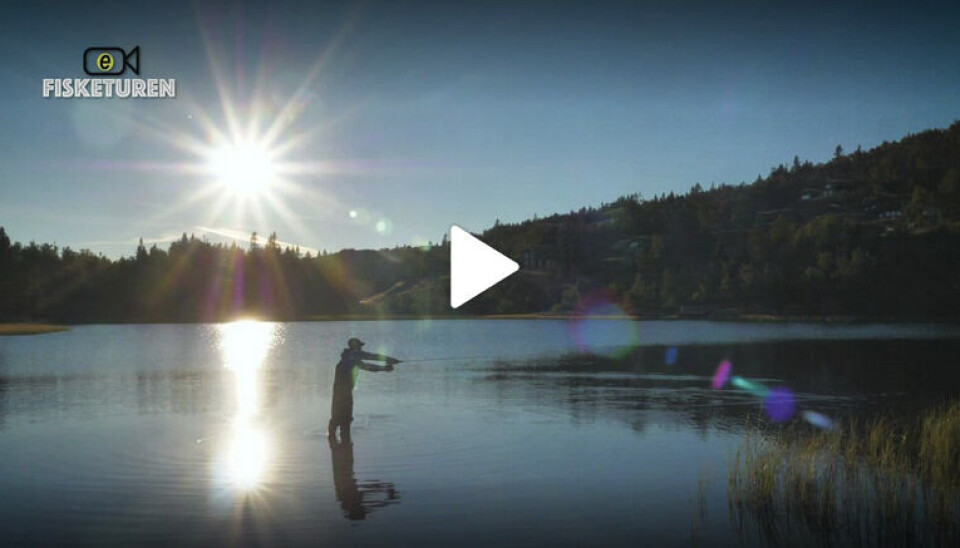 Nydelige bilder fra Gamlestølen under tv-serien 'Fisketuren'. Nydelige bilder fra Gamlestølen under tv-serien 'Fisketuren'.