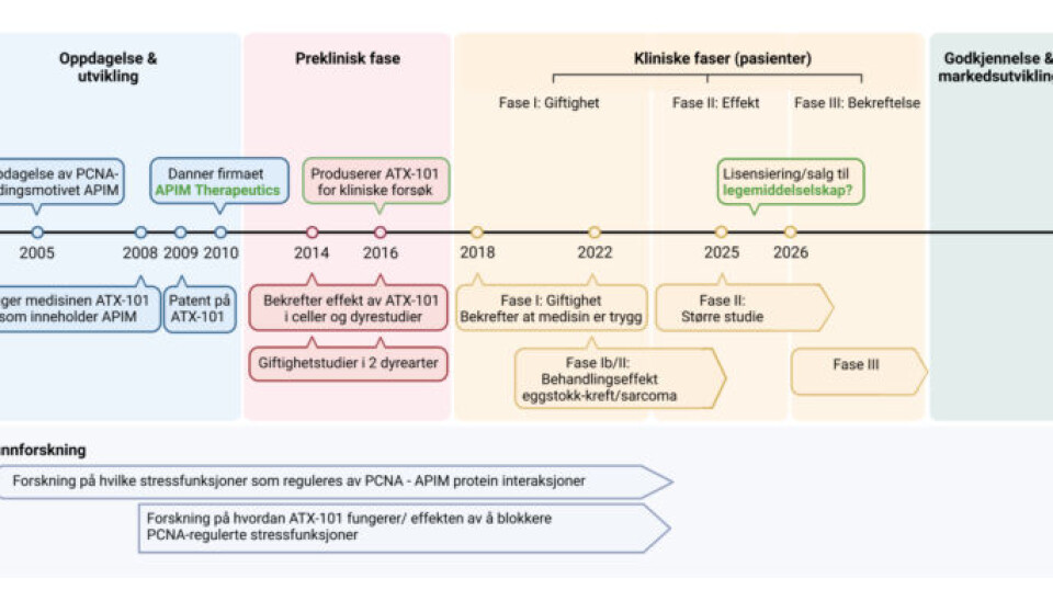 Her er tidslinjen fra funnet på laboratoriet i 2005, og til i dag hvor man sjekker behandlingseffekten på mennesker. Alle disse fasene må alle legemidler gjennom før det eventuelt kommer på markedet. Illustrasjon: Marit Otterlei, NTNU.