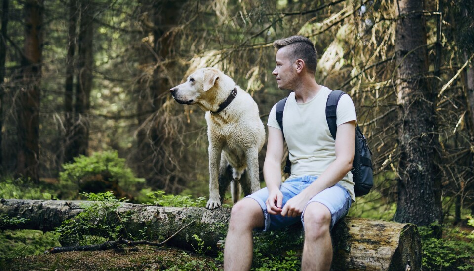 DYRERE Å HA HUND