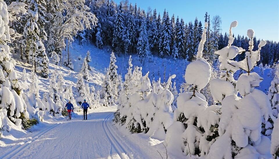 Store belastning denne vinteren har ført til mye søppel og stor slitasje på naturen. Store belastning denne vinteren har ført til mye søppel og stor slitasje på naturen.
