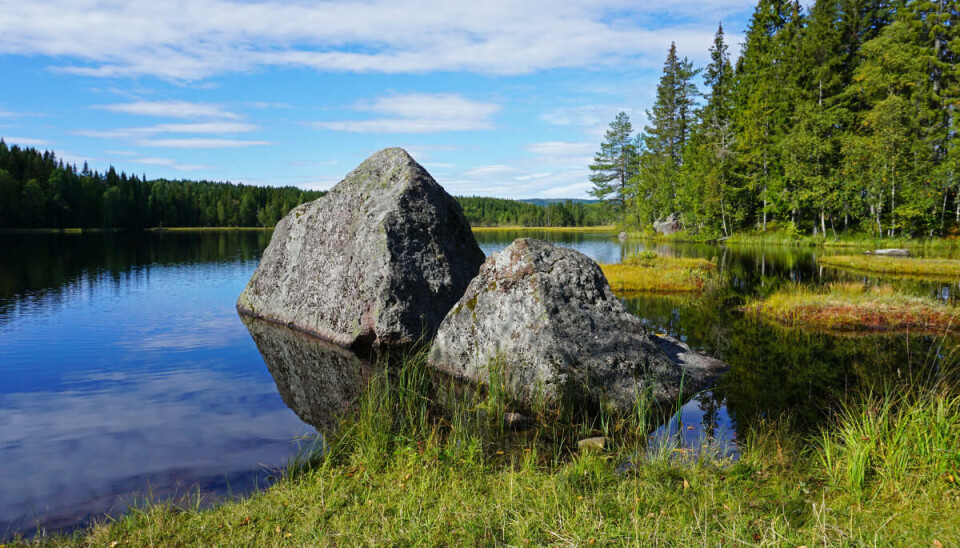Først etter 5 juni åpnes Nordmarka for folket igjen. Først skal det ryddes. Først etter 5 juni åpnes Nordmarka for folket igjen. Først skal det ryddes.