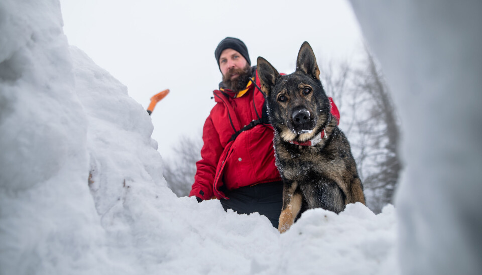 Norge, snø og kulde er like sikkert som banken(iden grad man kan bruke en slik klisje). Nå har man masse ny kunnskap om kulde. Norge, snø og kulde er like sikkert som banken(iden grad man kan bruke en slik klisje). Nå har man masse ny kunnskap om kulde.