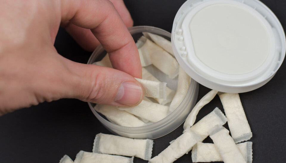 Snus er forbudt i hele Europa foruten Norge og Sverige Snus er forbudt i hele Europa foruten Norge og Sverige
